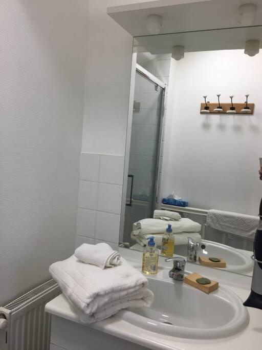 Bel Appartement Climatise Plein Centre Ville 普瓦捷 外观 照片
