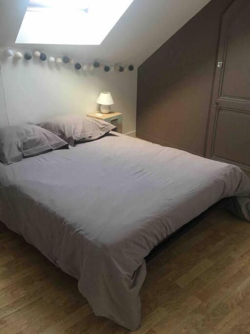 Bel Appartement Climatise Plein Centre Ville 普瓦捷 外观 照片